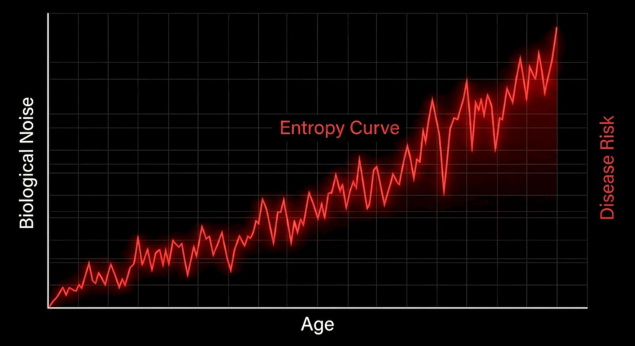 Entropy Curve Graph
